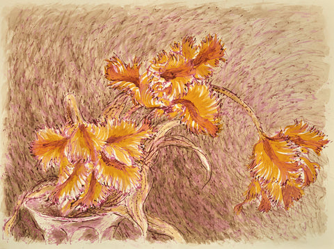 Feathered Orange Tulips